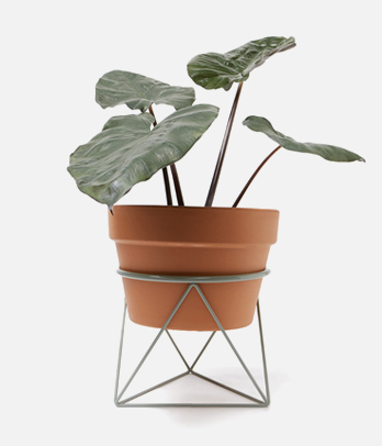 product-2